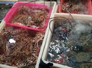 國(guó)產(chǎn)高檔海鮮自拍視頻,鏡頭下的高端海鮮美食之旅