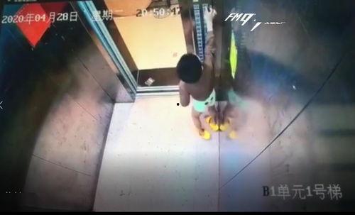 國產(chǎn)sm主人調(diào)教男m視頻國產(chǎn),揭秘國產(chǎn)生態(tài)下的SM文化現(xiàn)象