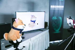 國產(chǎn)偷拍視頻dmgqj.com,國產(chǎn)偷拍視頻的隱秘世界