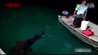 國產(chǎn)釣魚神器視頻大全,揭秘釣魚高手必備利器